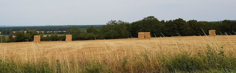 Commune de Villequiers