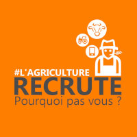 Offres d'emploi dans l'agriculture...