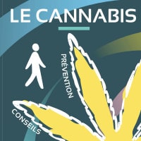 Infos consommation cannabis...
