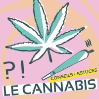 Les jeunes et le cannabis...