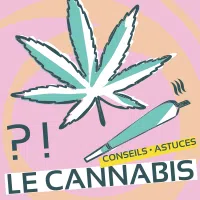 Les jeunes et le cannabis...