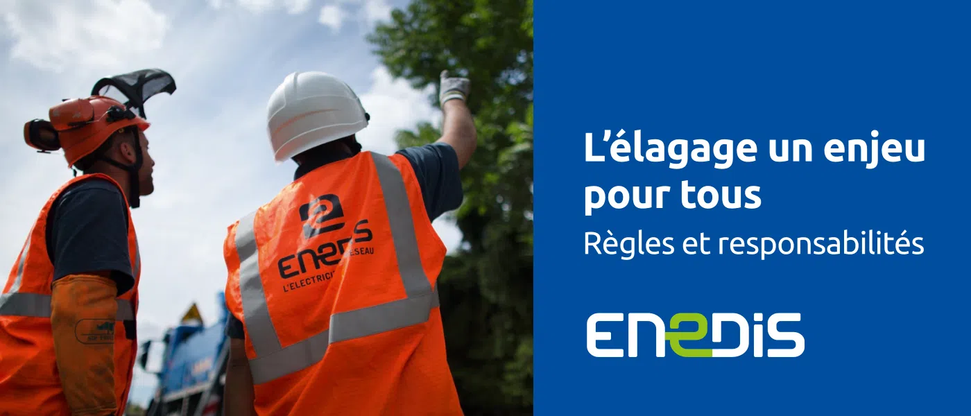 Enedis, travaux d'élagages autour des lignes électriques