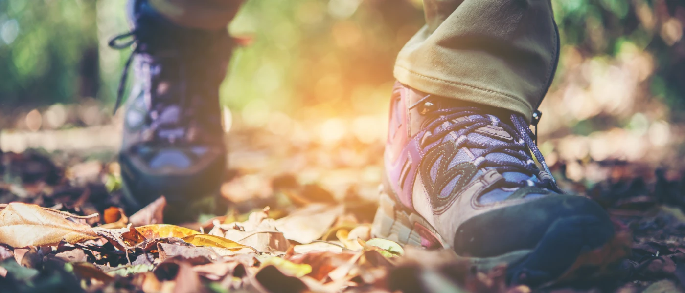 Proposition d’une nouvelle activité par le pôle d'animation séniors