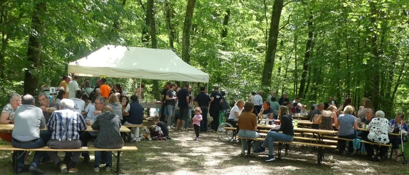Une journée dans les bois