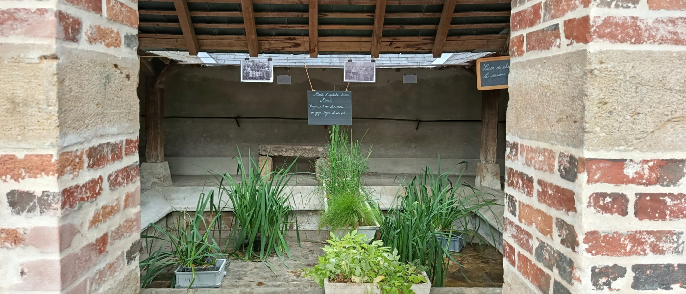 Les photos de classes de Villequiers : l’exposition des élèves au lavoir