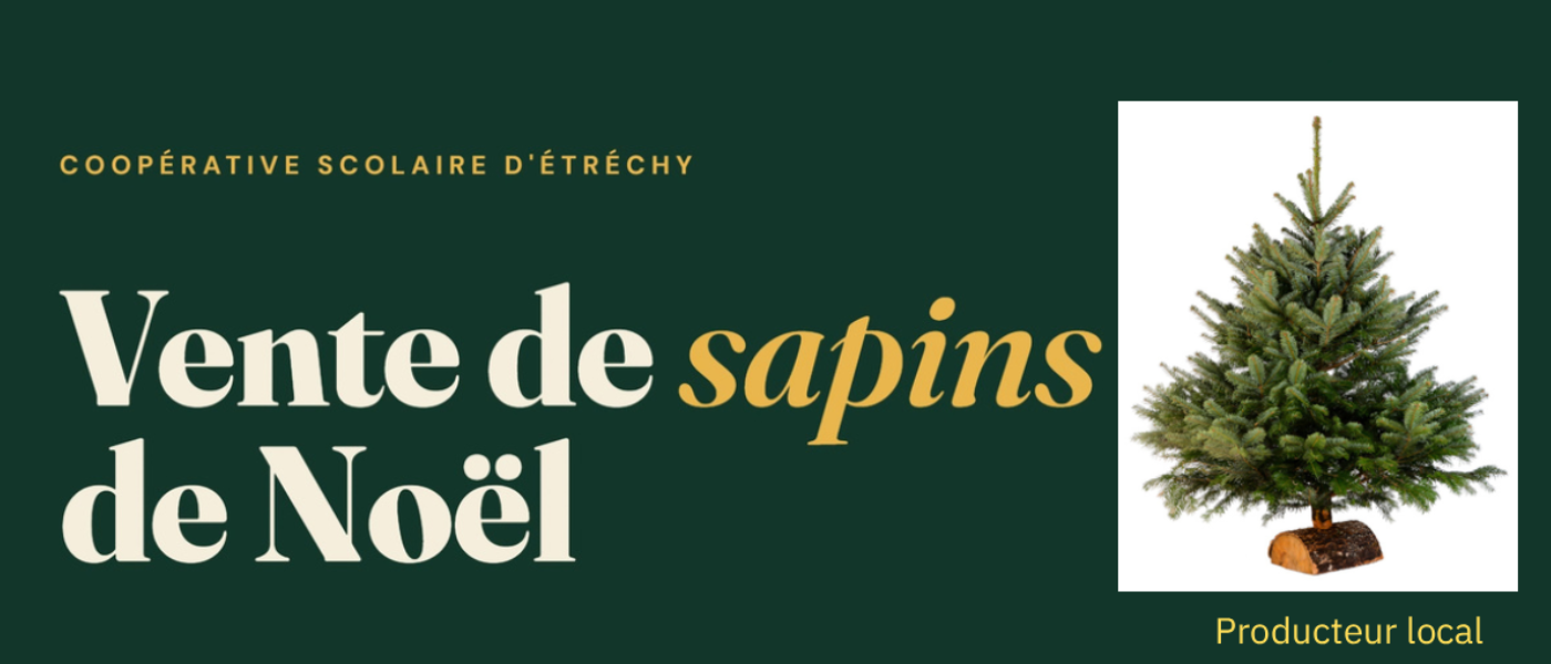 Vente de sapins de Noël