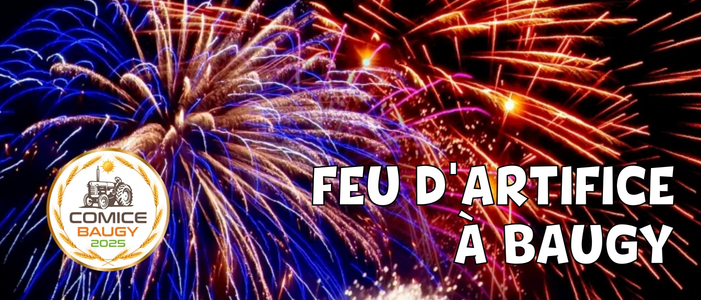 Feu d'artifice à Baugy