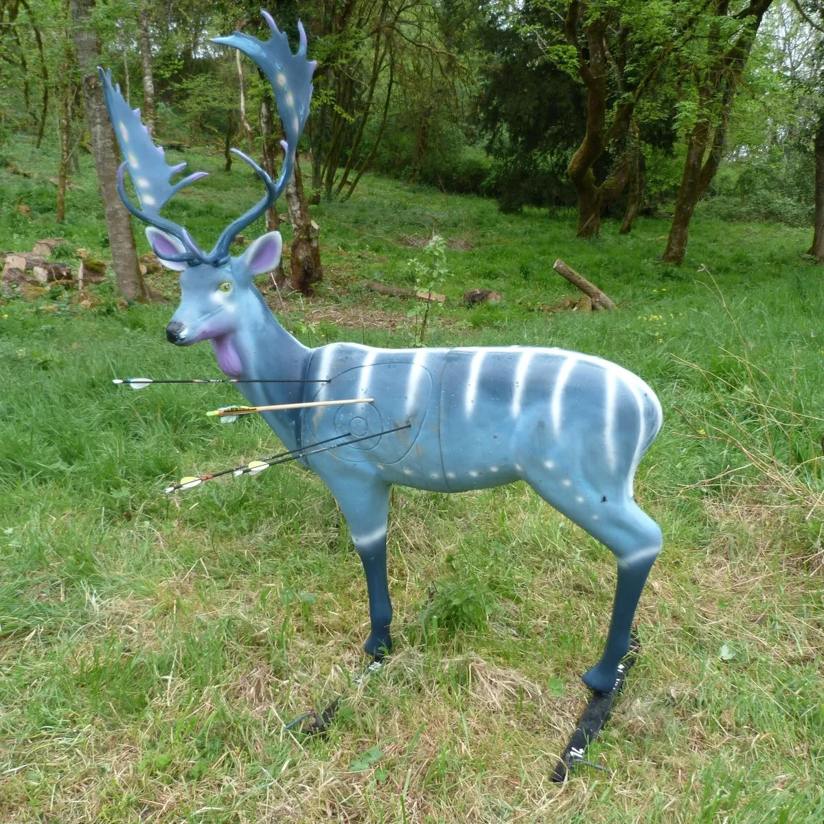 Photo concours3d_04.webp