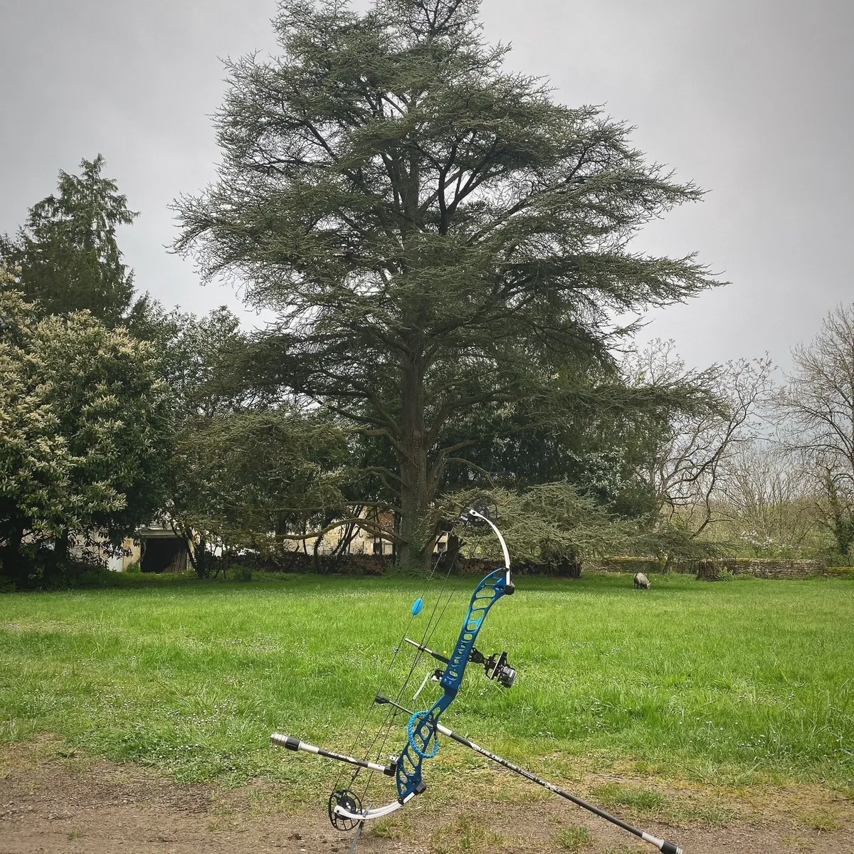 Photo concours3d_19.webp