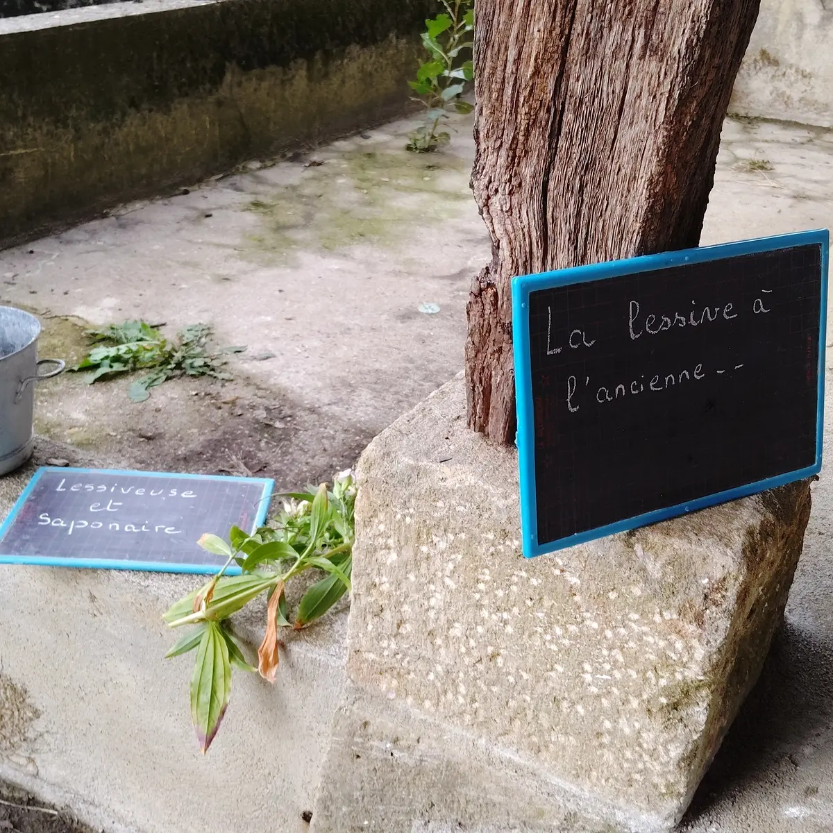 Photo randogvv2025_006.webp