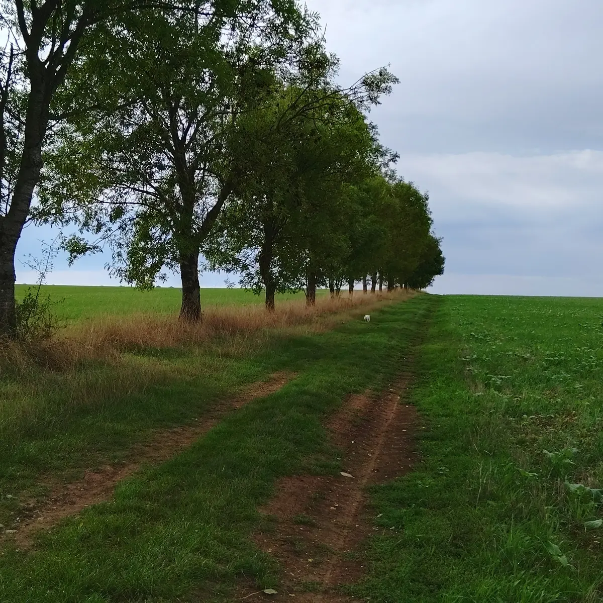 Photo randogvv2025_012.webp