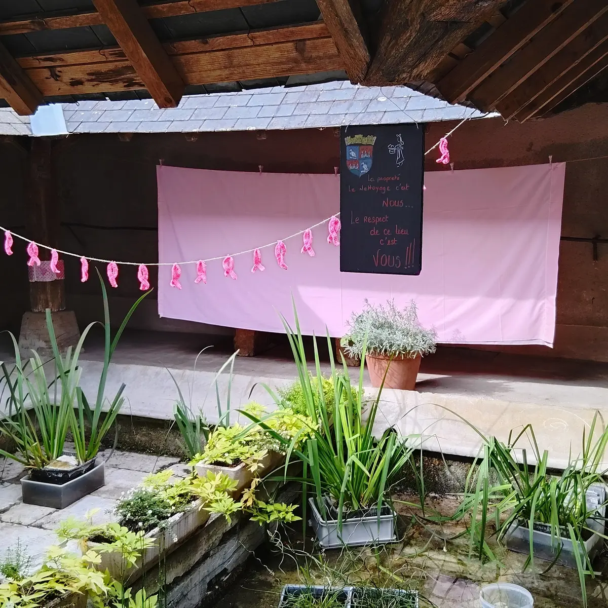 Photo randogvv2025_013.webp