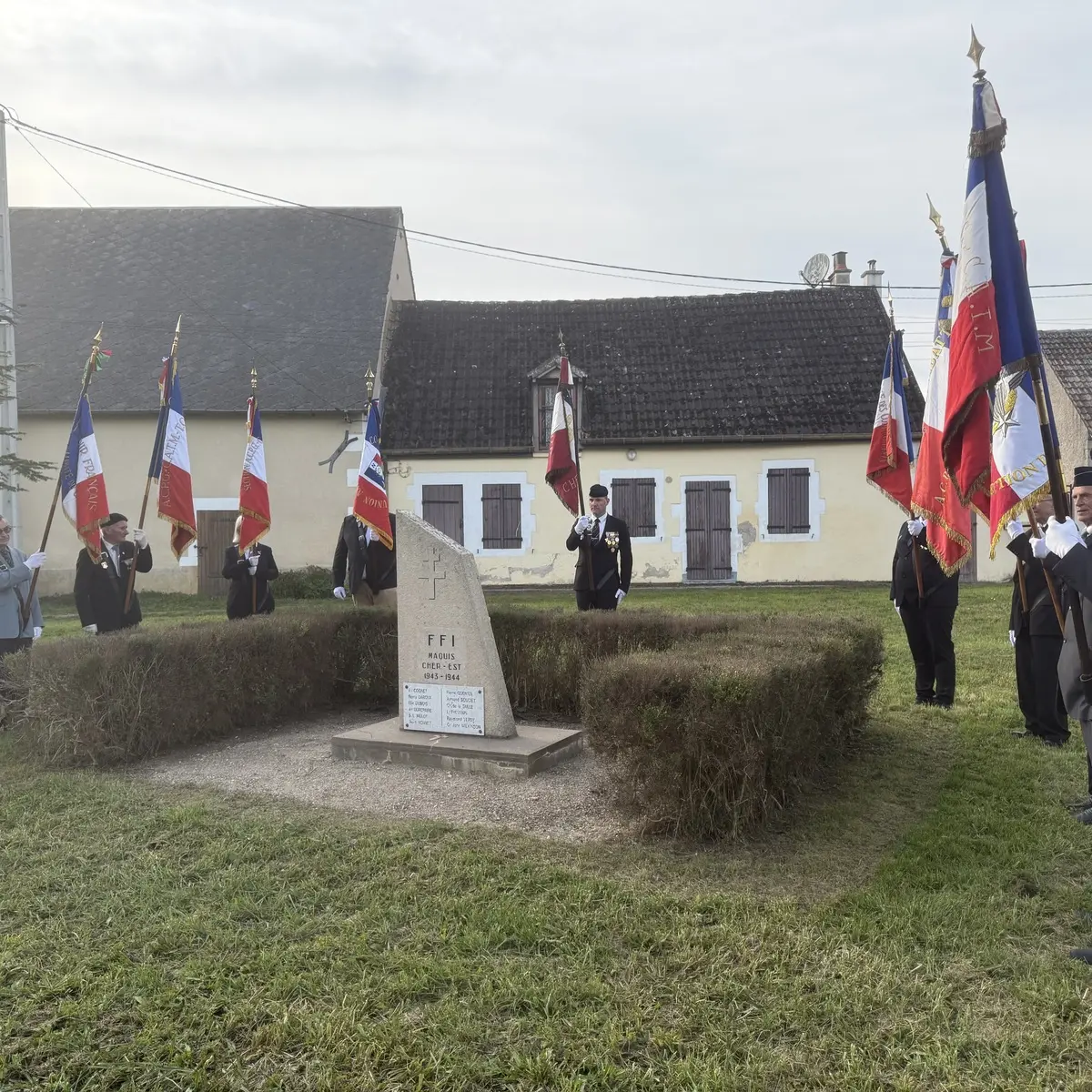 Photo steleberry_001.webp