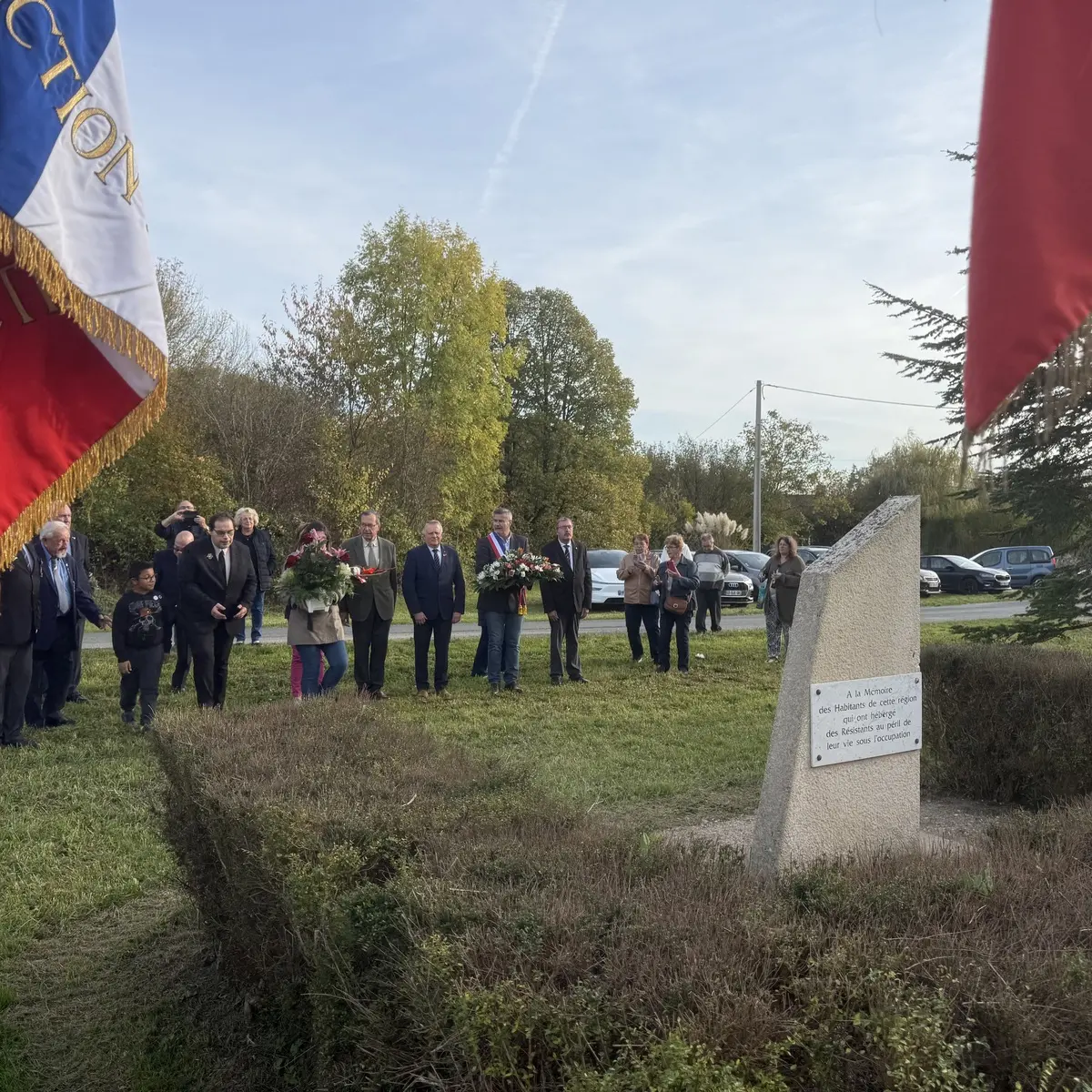 Photo steleberry_002.webp