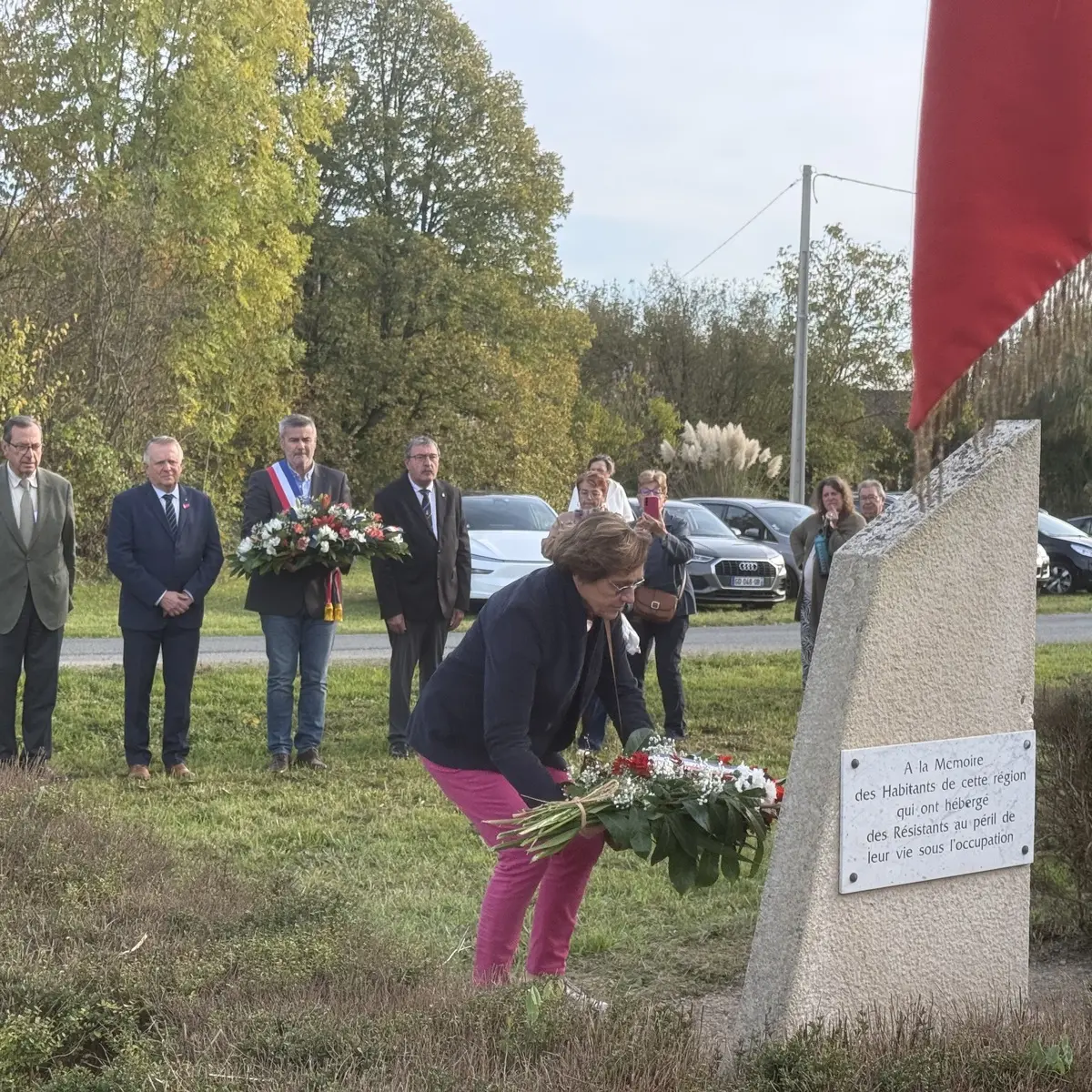 Photo steleberry_004.webp