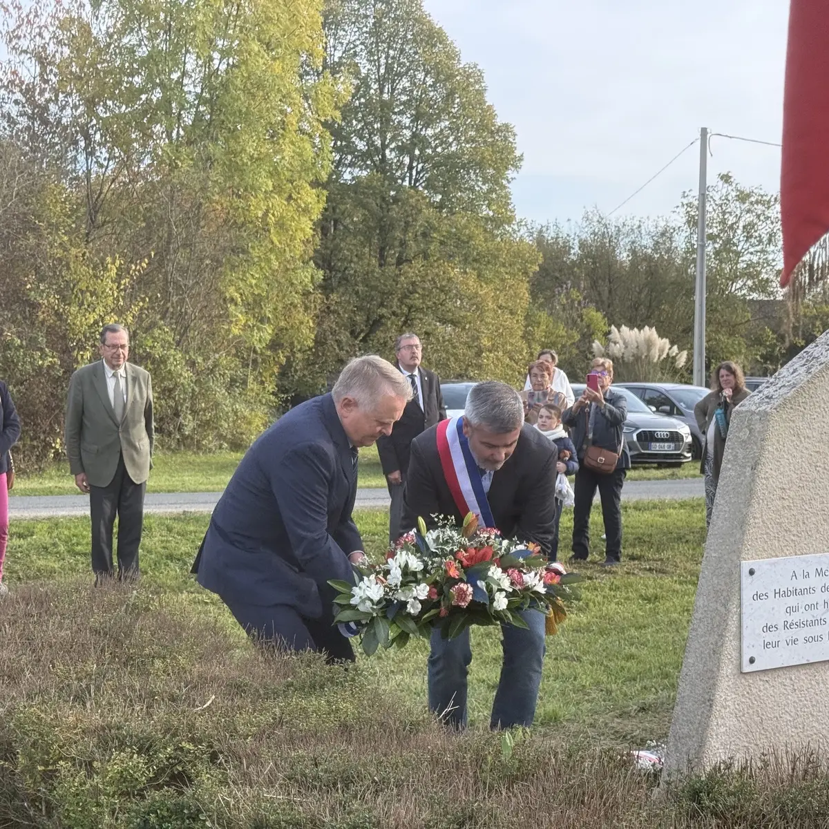 Photo steleberry_005.webp