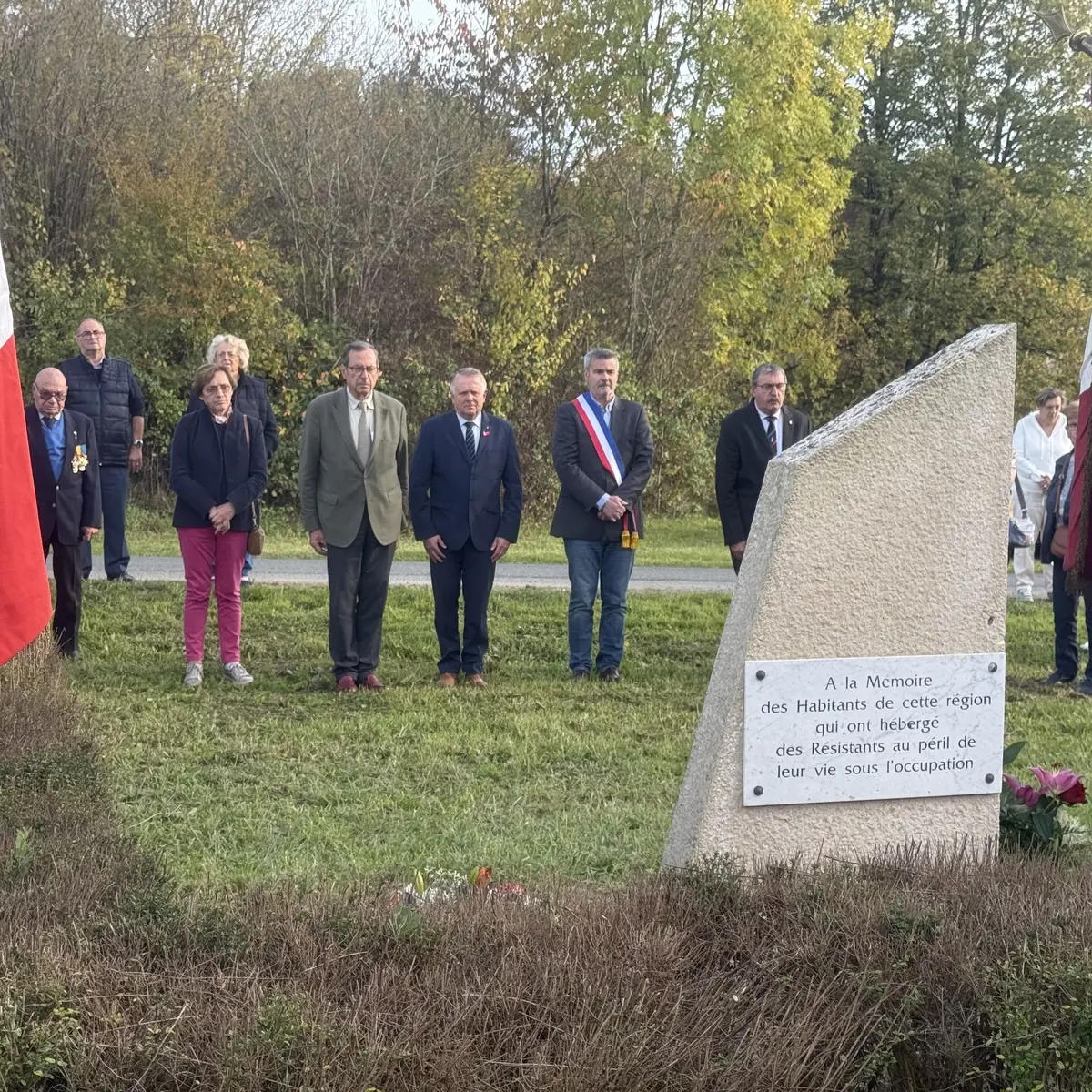 Photo steleberry_006.webp