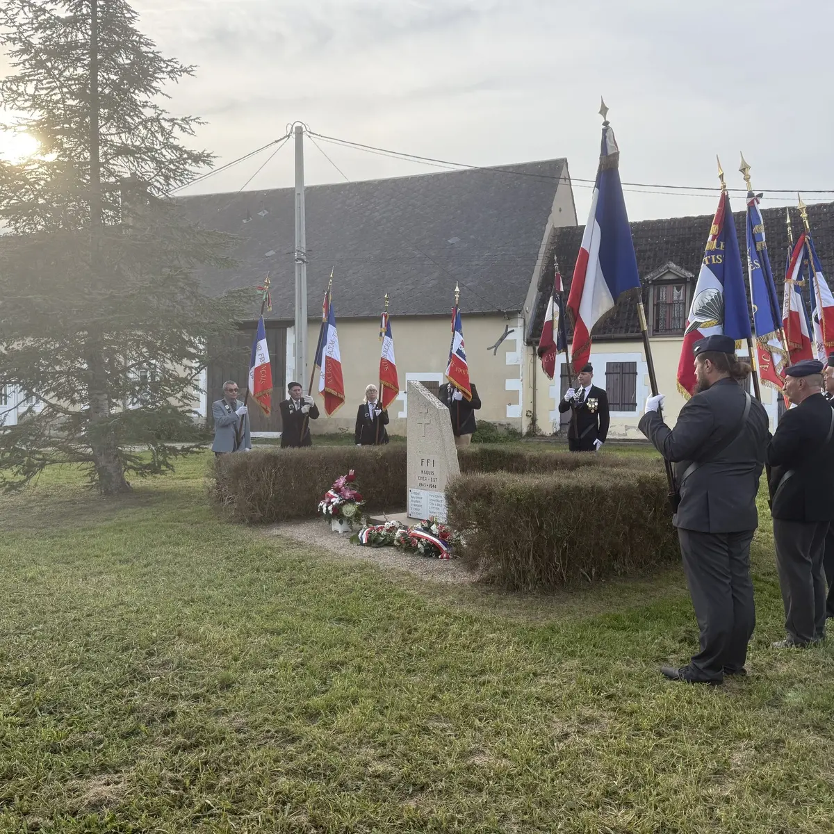 Photo steleberry_008.webp