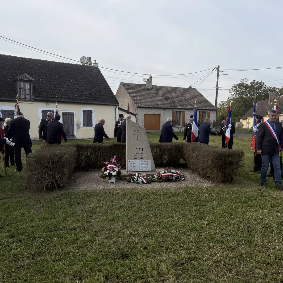 Photo steleberry_010.webp