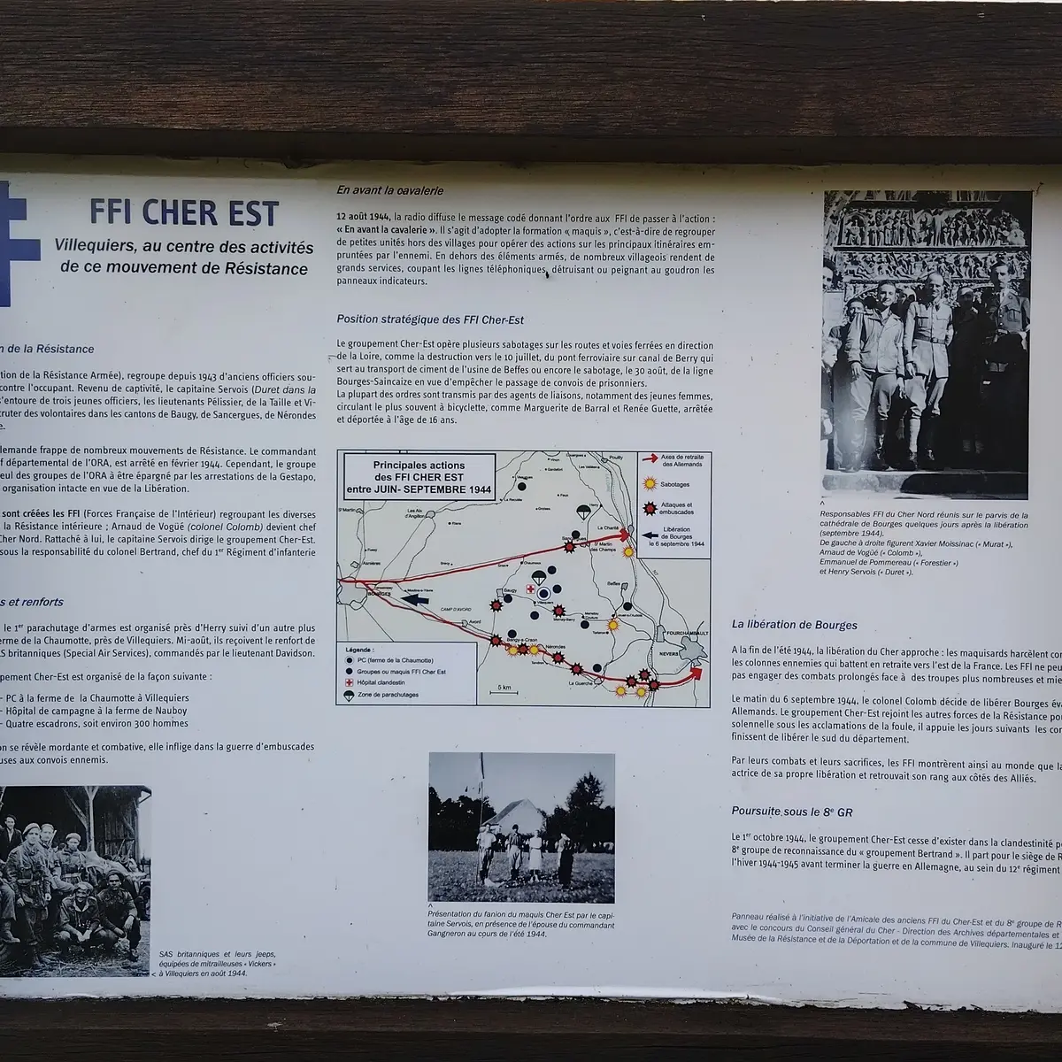 Photo steleberry_013.webp