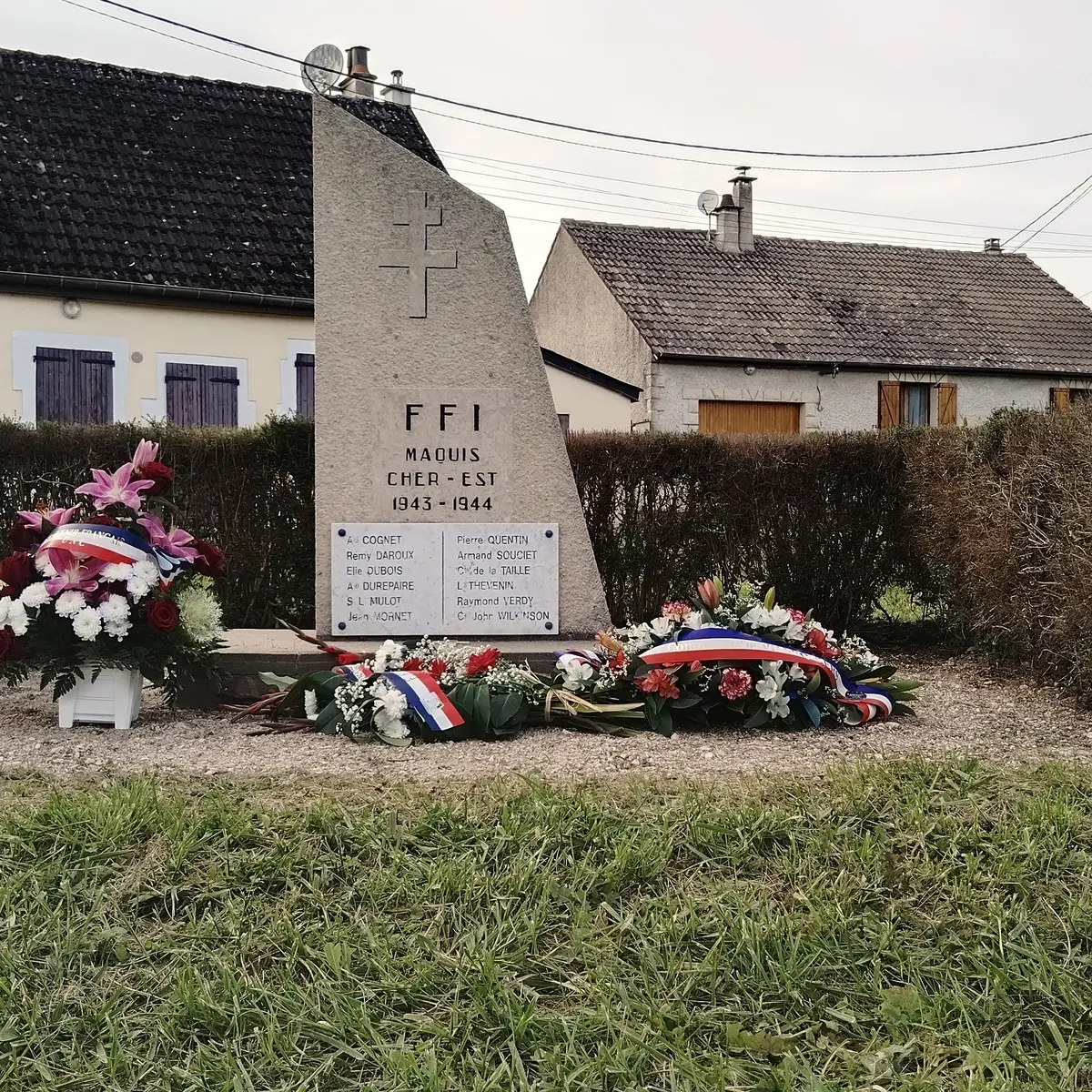 Photo steleberry_014.webp