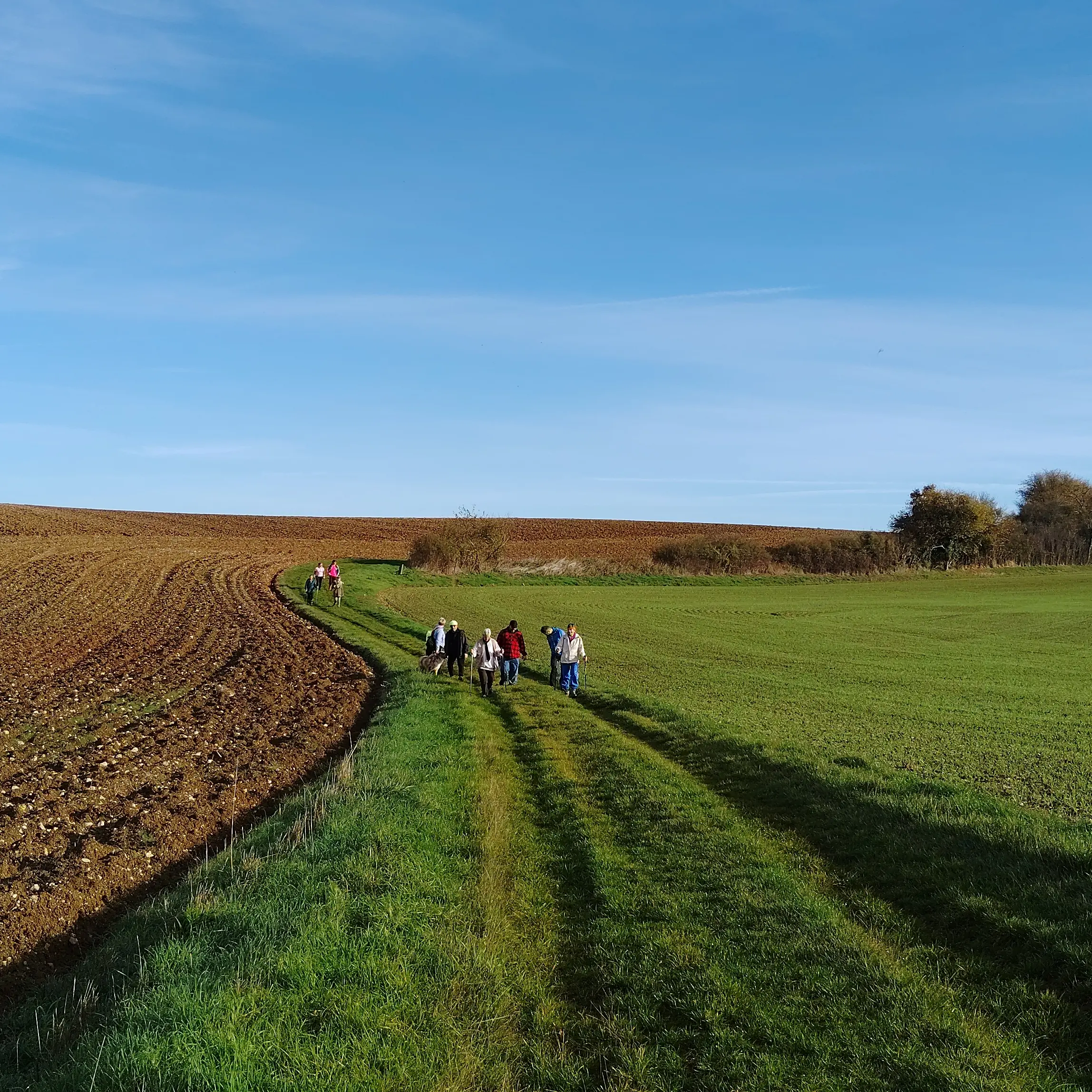 Photo telethon2025_010.webp